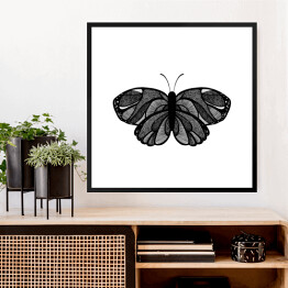 Obraz w ramie Czarny motyl z szarymi elementami na białym tle