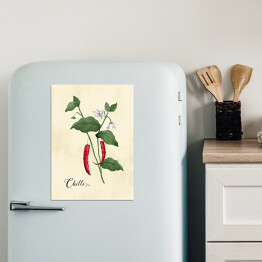 Magnes dekoracyjny Ilustracja - chili papryka