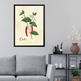 Obraz w ramie Ilustracja - chili papryka