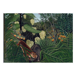 Plakat Henri Rousseau "Walka pomiędzy tygrysem a bawołem" - reprodukcja