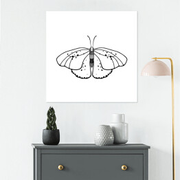 Plakat samoprzylepny Jasny motyl z czarnymi i szarymi akcentami