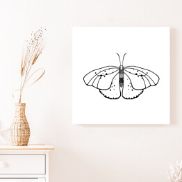 Obraz na płótnie Jasny motyl z czarnymi i szarymi akcentami