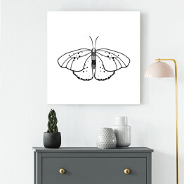 Obraz na płótnie Jasny motyl z czarnymi i szarymi akcentami