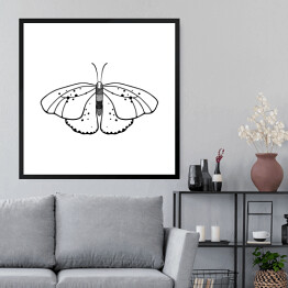 Obraz w ramie Jasny motyl z czarnymi i szarymi akcentami