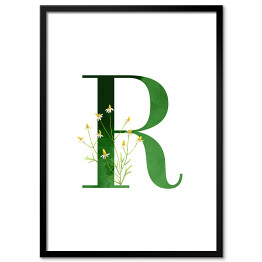 Plakat w ramie Roślinny alfabet - litera R jak rumianek