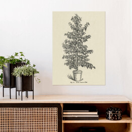 Plakat Drzewko brzoskwiniowe vintage John Wright Reprodukcja
