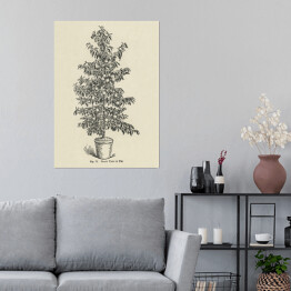 Plakat Drzewko brzoskwiniowe vintage John Wright Reprodukcja
