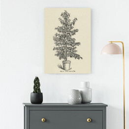 Obraz na płótnie Drzewko brzoskwiniowe vintage John Wright Reprodukcja