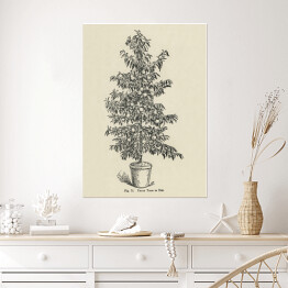 Plakat samoprzylepny Drzewko brzoskwiniowe vintage John Wright Reprodukcja
