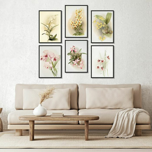 Galeria ścienna Zestaw plakatów Kwiaty Storczyki i orchidee