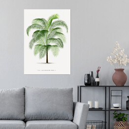 Plakat Drzewo palma w stylu vintage reprodukcja 