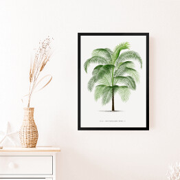 Obraz w ramie Drzewo palma w stylu vintage reprodukcja 