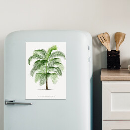 Magnes dekoracyjny Drzewo palma w stylu vintage reprodukcja 