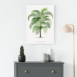 Obraz klasyczny Drzewo palma w stylu vintage reprodukcja 