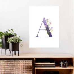 Plakat Roślinny alfabet - litera A jak aster