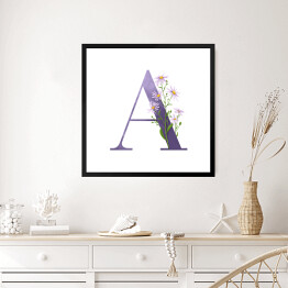 Obraz w ramie Roślinny alfabet - litera A jak aster