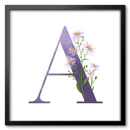 Obraz w ramie Roślinny alfabet - litera A jak aster