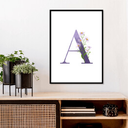 Plakat w ramie Roślinny alfabet - litera A jak aster