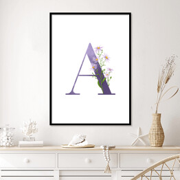Plakat w ramie Roślinny alfabet - litera A jak aster