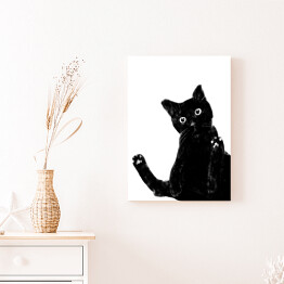 Obraz klasyczny Zabawny czarny kociak z dużymi oczami