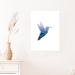 Plakat Koliber na tle morza