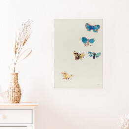 Plakat samoprzylepny Odilon Redon Pięć motyli. Reprodukcja