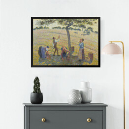 Obraz w ramie Camille Pissarro "Zbiory jabłek" - reprodukcja