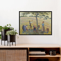 Plakat w ramie Camille Pissarro "Zbiory jabłek" - reprodukcja