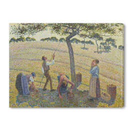 Obraz na płótnie Camille Pissarro "Zbiory jabłek" - reprodukcja