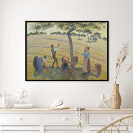 Plakat w ramie Camille Pissarro "Zbiory jabłek" - reprodukcja