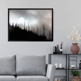 Obraz w ramie Księżyc nad lasem