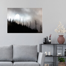 Plakat samoprzylepny Księżyc nad lasem