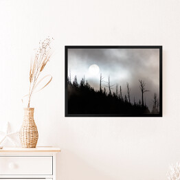 Obraz w ramie Księżyc nad lasem
