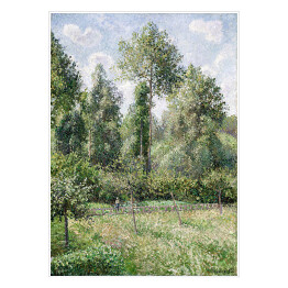 Plakat Camille Pissarro Topole w Eragny. Reprodukcja