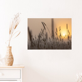 Plakat samoprzylepny Łąka o wschodzie słońca