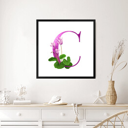 Obraz w ramie "C" - kwiatowy alfabet