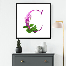 Obraz w ramie "C" - kwiatowy alfabet
