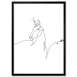 Plakat w ramie Minimalistyczny koń - białe konie