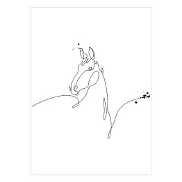 Plakat samoprzylepny Minimalistyczny koń - białe konie