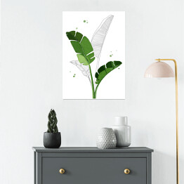 Plakat samoprzylepny Zielone liście bananowca na tle szkicu motywu roślinnego