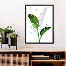 Obraz w ramie Zielone liście bananowca na tle szkicu motywu roślinnego