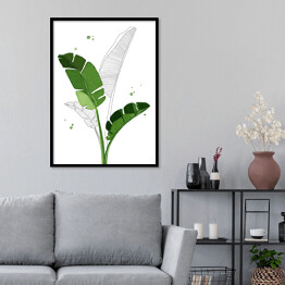 Plakat w ramie Zielone liście bananowca na tle szkicu motywu roślinnego