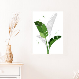 Plakat samoprzylepny Zielone liście bananowca na tle szkicu motywu roślinnego