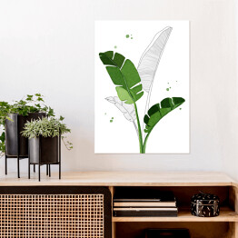 Plakat Zielone liście bananowca na tle szkicu motywu roślinnego