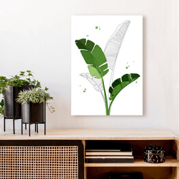 Obraz klasyczny Zielone liście bananowca na tle szkicu motywu roślinnego