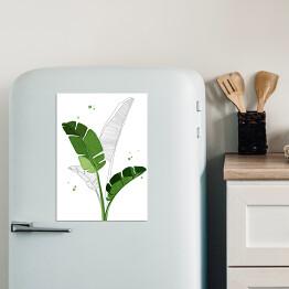 Magnes dekoracyjny Zielone liście bananowca na tle szkicu motywu roślinnego