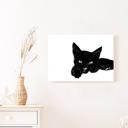 Obraz na płótnie Leżący czarny kociak z wyciągniętą łapką