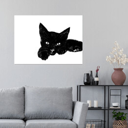 Plakat Leżący czarny kociak z wyciągniętą łapką