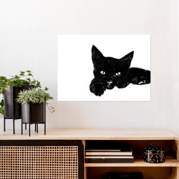 Plakat samoprzylepny Leżący czarny kociak z wyciągniętą łapką