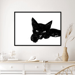 Plakat w ramie Leżący czarny kociak z wyciągniętą łapką
